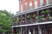 these beautiful buildings line the streets of the french quarter