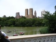 The views in central park