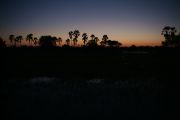 Okavango Delta travelogue picture