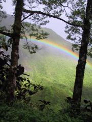 Rainbow across the Vaihiria Valley