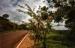 Puerto Iguazu travelogue picture
