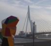 Rotterdam travelogue picture