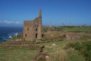 West Wheal Owles, Bottalack - with donkeys!