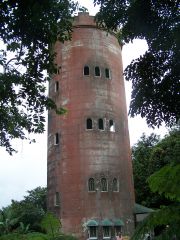 Tower in rain forest