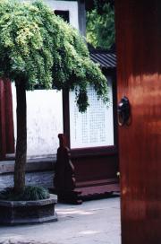 The entrance door to the chinese garden