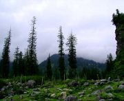 Shimla travelogue picture