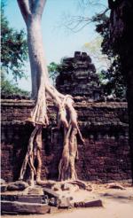 Siem Reap travelogue picture