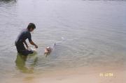 dolphin with trainer