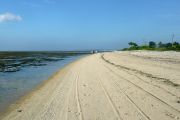 Walk this beach!