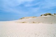 Slowinski National Park - moving dunes