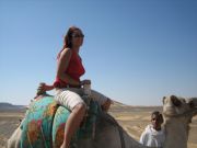 trip in camel