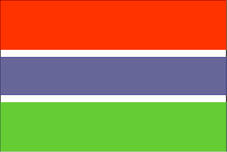 Flag of Gambia, the