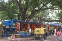 Temple hopping at malleswaram