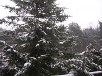 Finally, a white winter in Ustka.