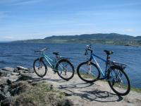 Cycling at the Trondheimsfjord