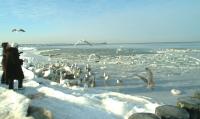 Snowstorm in Ustka.