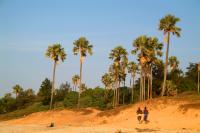 The Gambia - Day 3 - the beach
