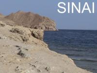 Start slide show: 