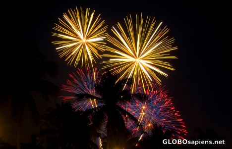 Postcard Aruba - fireworks and palmtrees