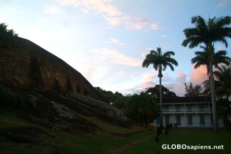 Postcard English Harbour Town (AG) - tall palmtrees