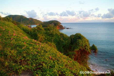 Postcard English Harbour Town (AG) - coast