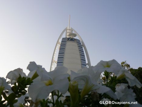 Postcard Flowers at the Burj