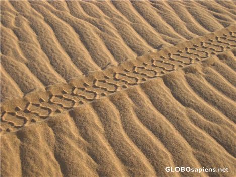Postcard Traces on the Sand