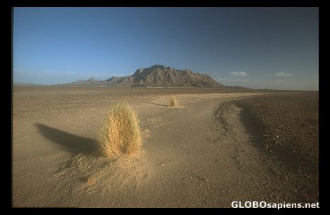 Postcard Mount Thelehteba