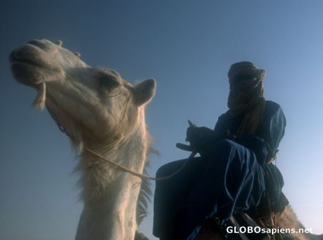 Postcard Touareg