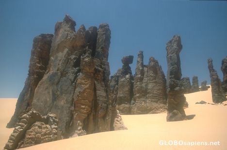 Postcard Needles