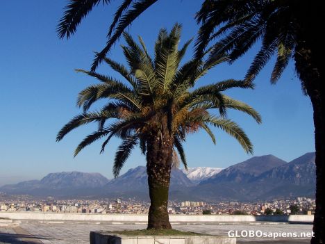 Postcard Tiranë