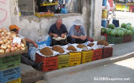 Tobacco sellers in the Tirana street market