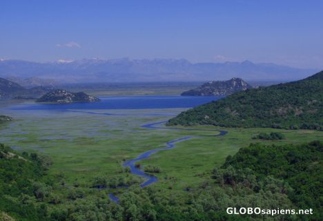 Postcard Laske (Lake) Skardar taken from Montenegro