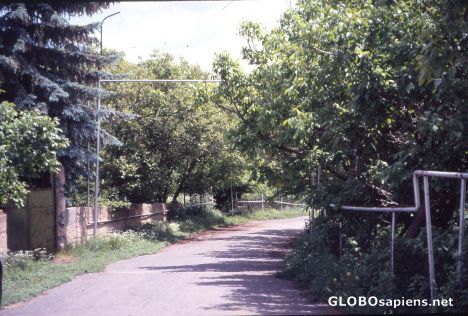Postcard Gaspipes