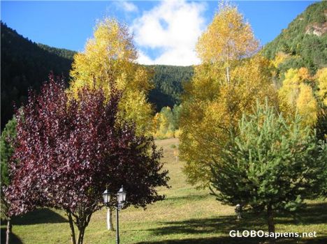 Postcard Autumn colours in the Pyrinees