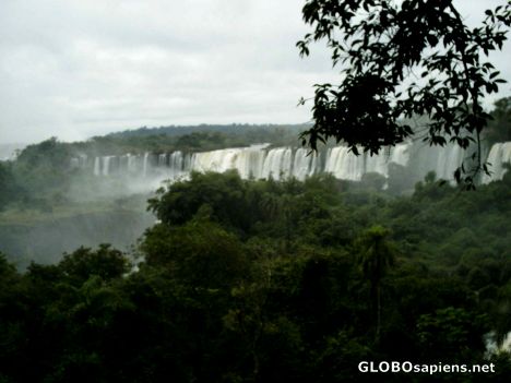 Postcard Jungle views