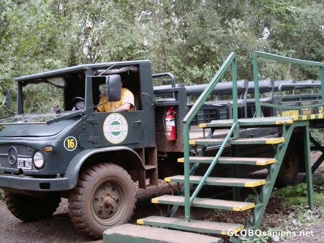 Postcard Jungle transport