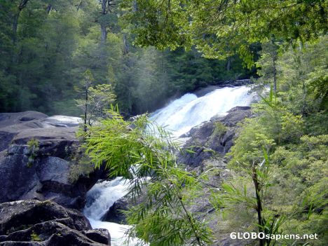 Postcard ARGENTINE - CASCADE LOS CANTAROS