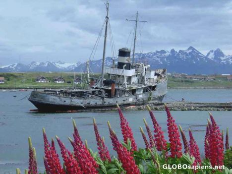 Postcard USHUAIA - BATEAU ECHOUE