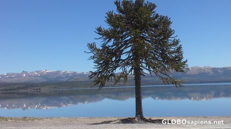 Postcard Alumine Lake
