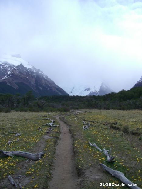 Postcard patagonian spring morning walk