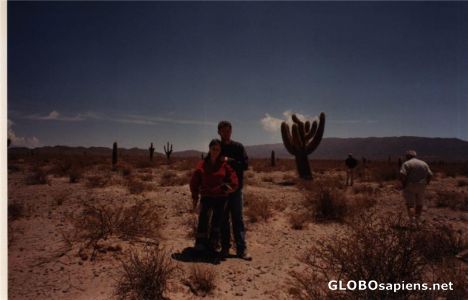 Postcard Los Cardones National Park