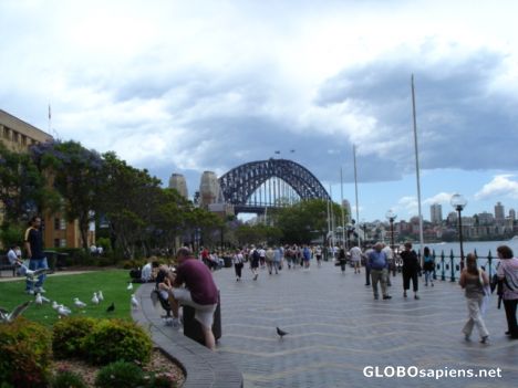 Postcard Circular Quay