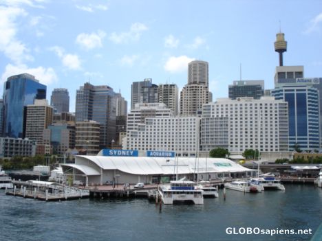 Postcard Sydney Aquarium