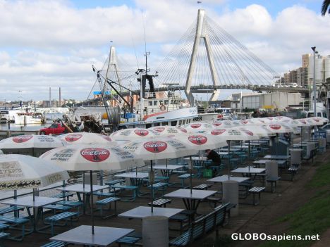 Postcard Sydney Fish Market
