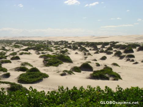 Postcard Stockton Beach