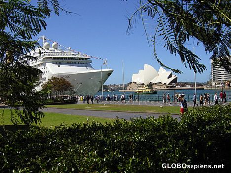 Postcard Cruise Liner Sydney Harbour