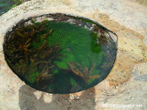 Postcard rockpool