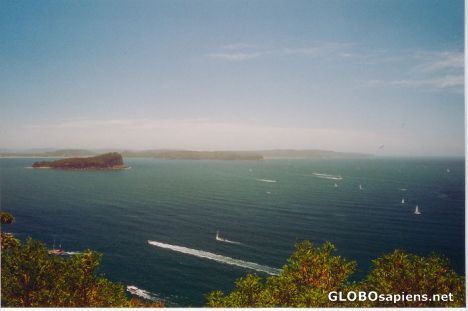 Postcard lion's head island