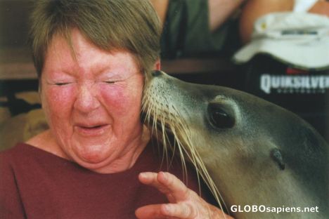 Postcard Sealed by a kiss